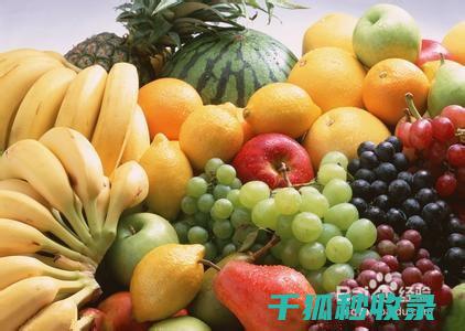 食物保鲜技巧全攻略