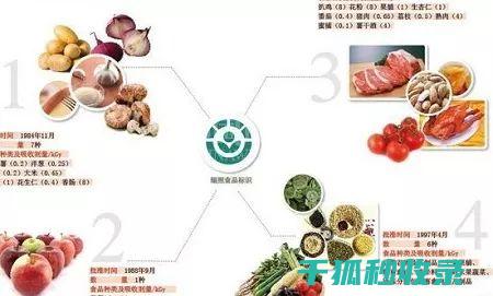 延长新鲜度的秘诀-蔬菜保鲜技巧全攻略 (如何延长新鲜感)