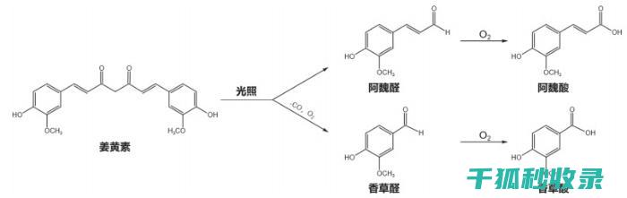 颜色的变幻与形状的奥秘-火烧云的多彩世界 (颜色变化)
