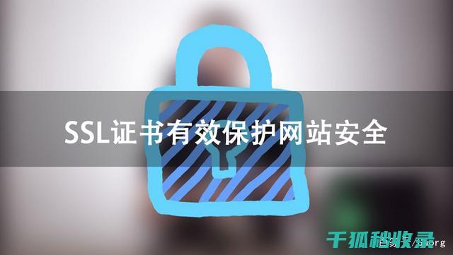 保护网站安全：专家教你如何隐藏WordPress版本号 (保护网站安全的手段)
