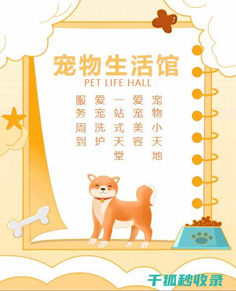 宠物生活常识：养猫养狗需要注意哪些细节 (宠物生活常识有哪些)