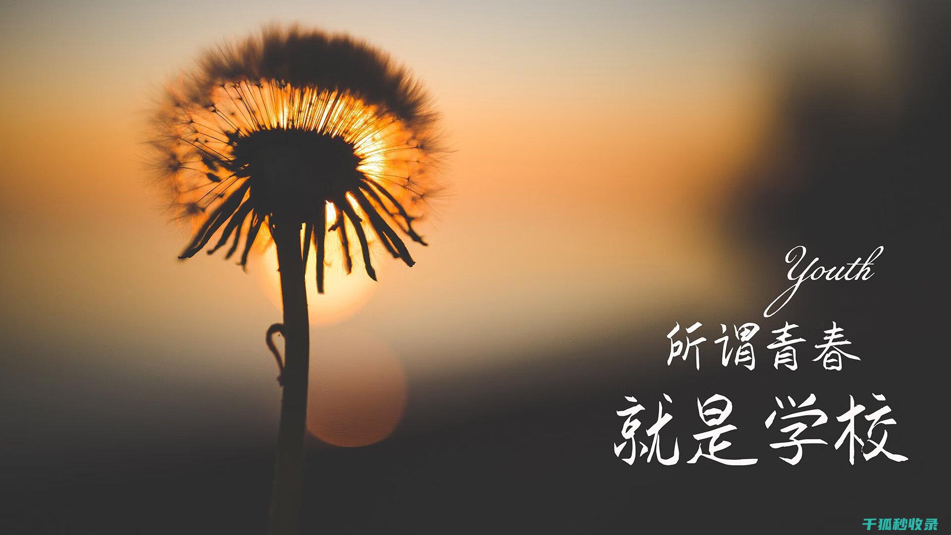 电动车如何快速上手
