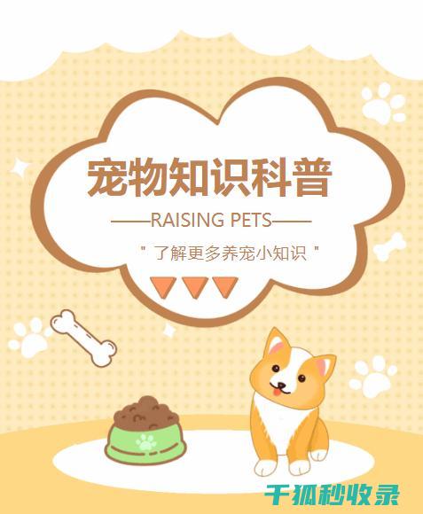 宠物生活常识：宠物生病时如何及时就医 (宠物生活常识有哪些)