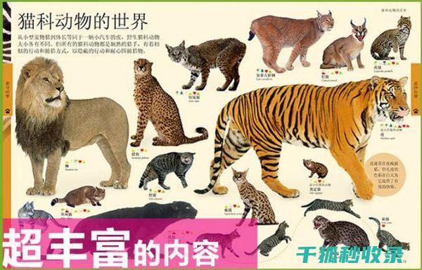 《动物百科：讲述地球上各类动物的迁徙习性及地理分布》 (动物百科全书)