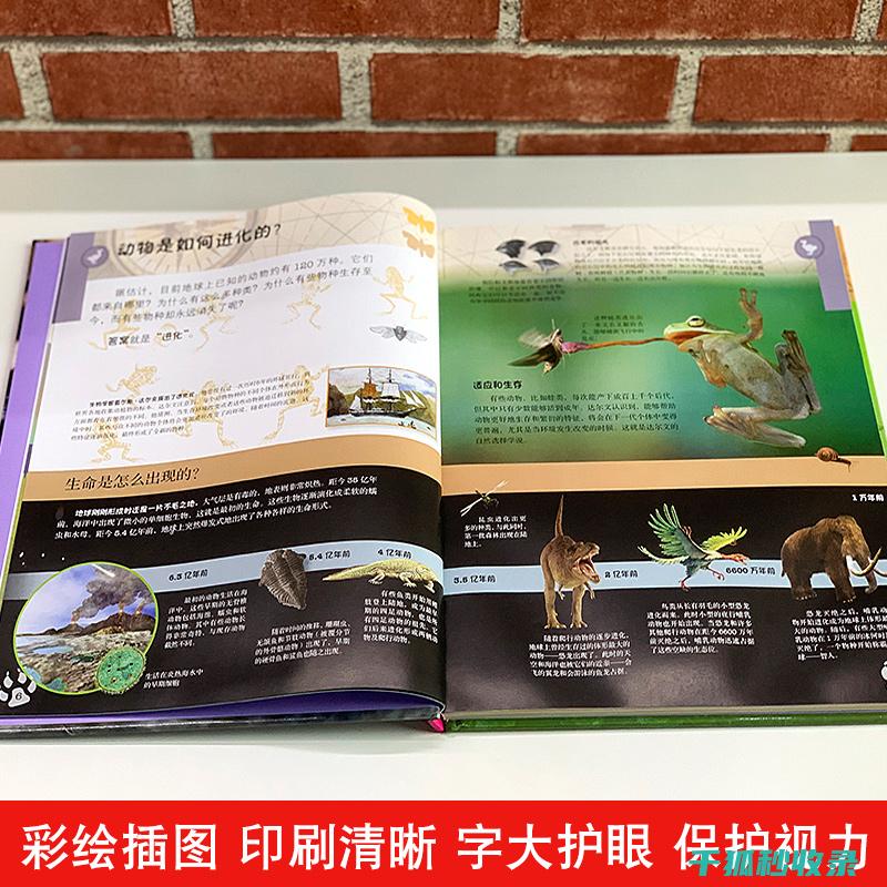 《动物百科：探索地球上动物的生态位及生存环境》 (动物百科视频)