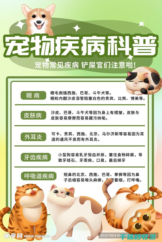宠物生活常识：如何为宠物选择合适的宠物玩具 (宠物生活常识有哪些)