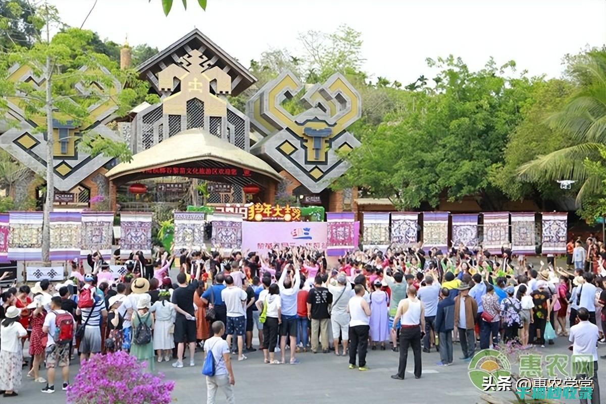 节日生活常识：如何庆祝新年 (节日生活常识有哪些)