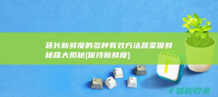 延长新鲜度的多种有效方法 蔬菜保鲜秘籍大揭秘 (保持新鲜度)