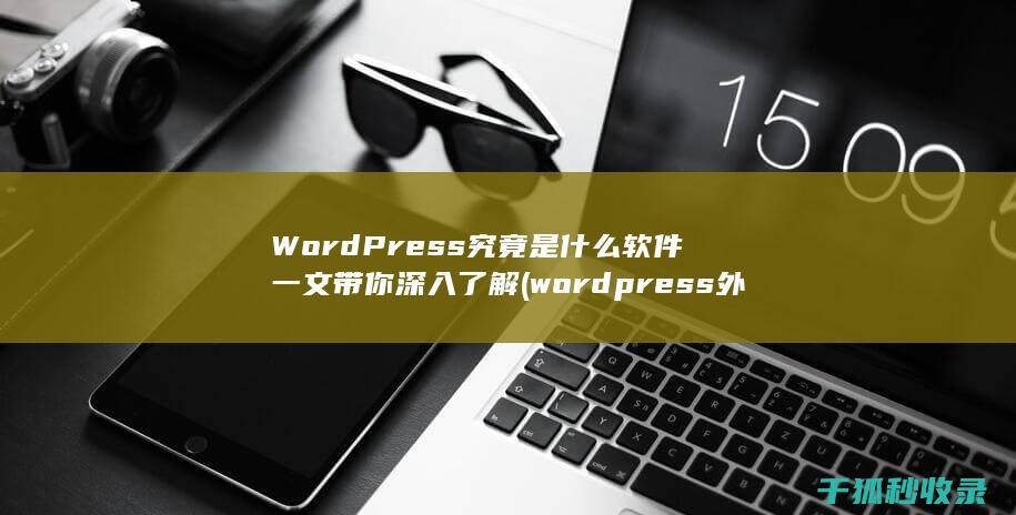 WordPress究竟是什么软件 一文带你深入了解 (wordpress外贸网站建站)