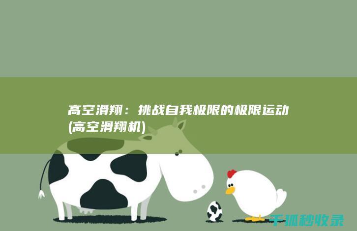 高空滑翔：挑战自我极限的极限运动 (高空滑翔机)