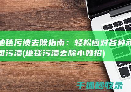 地毯污渍去除指南：轻松应对各种顽固污渍 (地毯污渍去除小妙招)