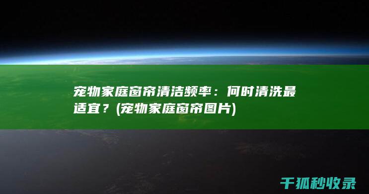 宠物家庭窗帘清洁频率：何时清洗最适宜？ (宠物家庭窗帘图片)
