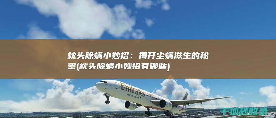 枕头除螨小妙招：揭开尘螨滋生的秘密 (枕头除螨小妙招有哪些)