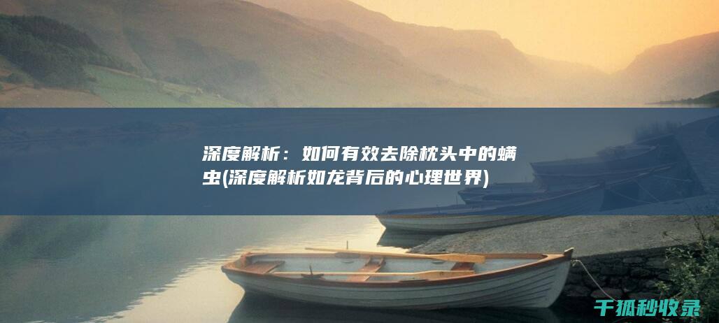 深度解析：如何有效去除枕头中的螨虫 (深度解析如龙背后的心理世界)