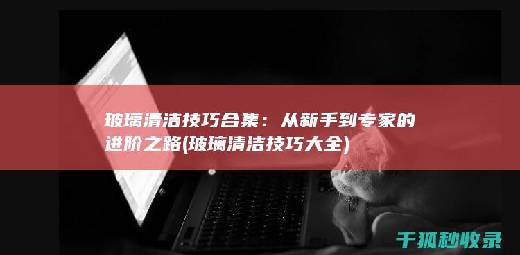 玻璃清洁技巧合集：从新手到专家的进阶之路 (玻璃清洁技巧大全)
