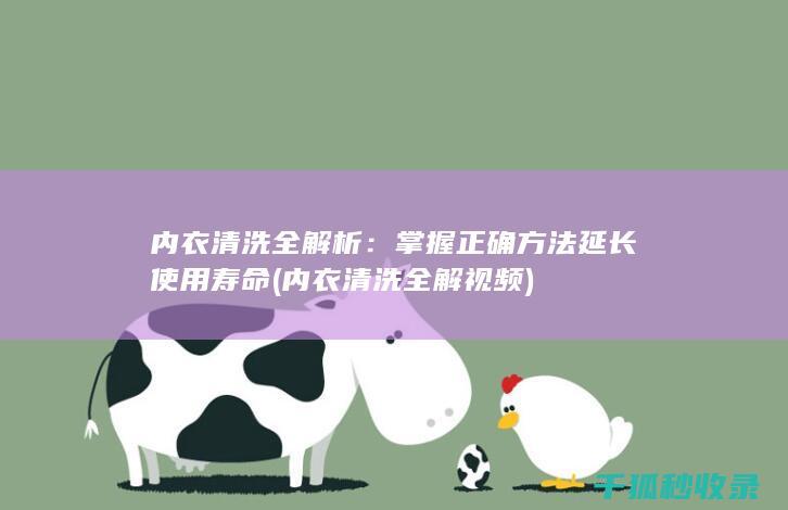 内衣清洗全解析：掌握正确方法延长使用寿命 (内衣清洗全解视频)