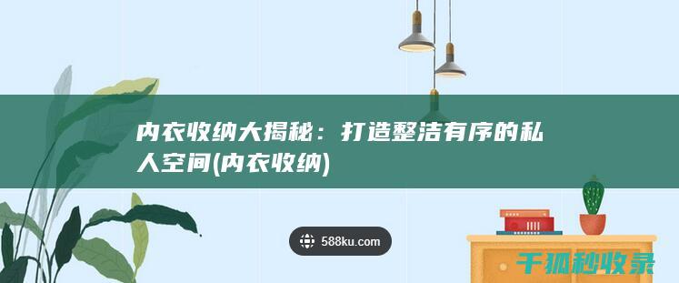 内衣收纳大揭秘：打造整洁有序的私人空间 (内衣 收纳)