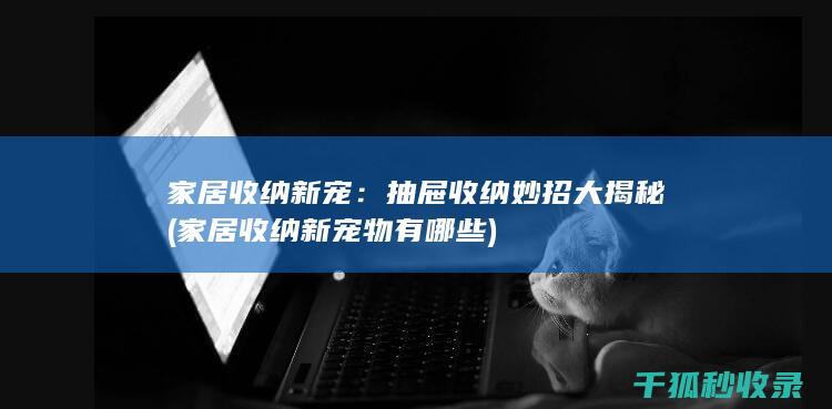 家居收纳新宠：抽屉收纳妙招大揭秘 (家居收纳新宠物有哪些)