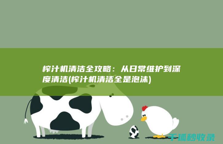 榨汁机清洁全攻略：从日常维护到深度清洁 (榨汁机清洁全是泡沫)