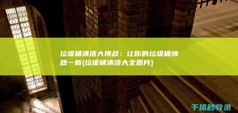 垃圾桶清洁大挑战：让你的垃圾桶焕然一新 (垃圾桶清洁大全图片)