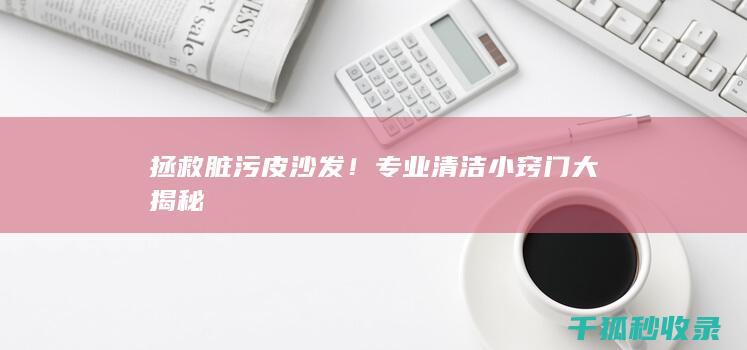 拯救脏污皮沙发！专业清洁小窍门大揭秘