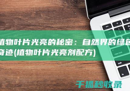 植物叶片光亮的秘密：自然界的绿色奇迹 (植物叶片光亮剂配方)