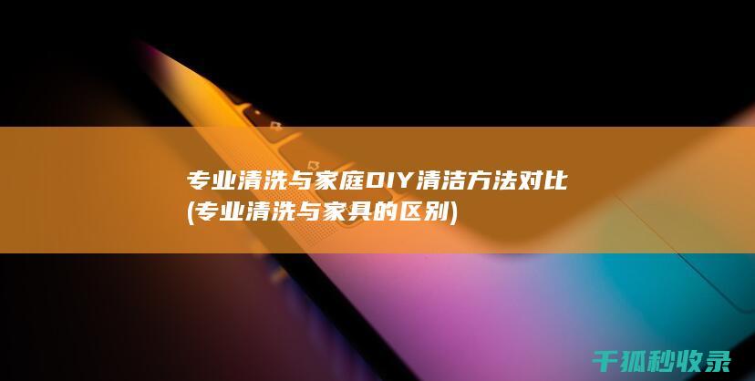 专业清洗与家庭DIY清洁方法对比 (专业清洗与家具的区别)