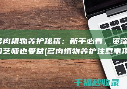 多肉植物养护秘籍：新手必看，资深园艺师也受益 (多肉植物养护注意事项)
