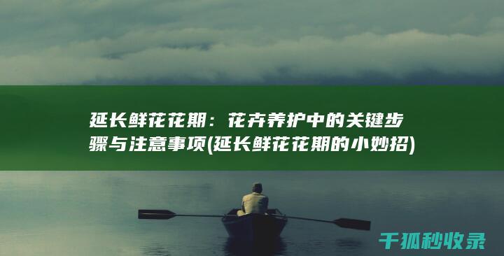 延长鲜花花期：花卉养护中的关键步骤与注意事项 (延长鲜花花期的小妙招)