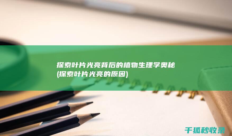 探索叶片光亮背后的植物生理学奥秘 (探索叶片光亮的原因)