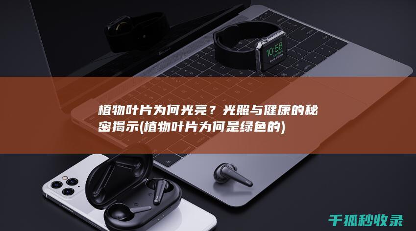 植物叶片为何光亮？光照与健康的秘密揭示 (植物叶片为何是绿色的)
