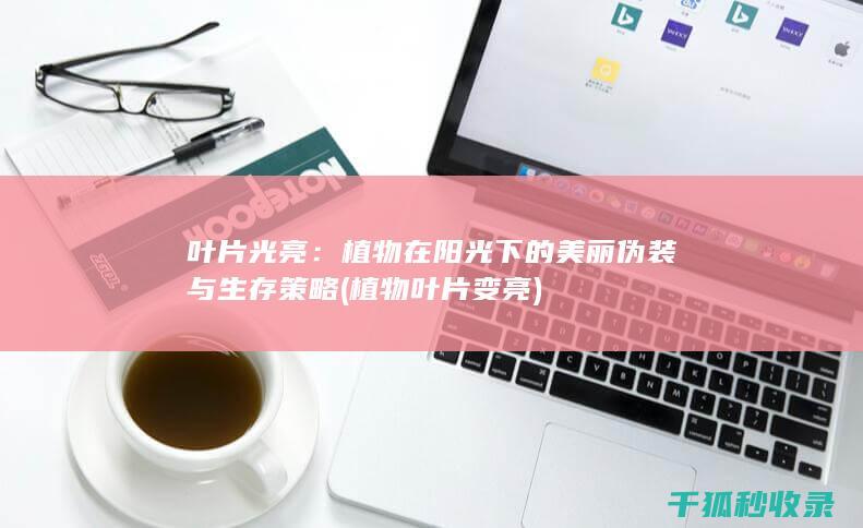 叶片光亮：植物在阳光下的美丽伪装与生存策略 (植物叶片变亮)