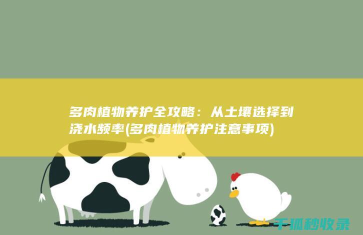 多肉植物养护全攻略：从土壤选择到浇水频率 (多肉植物养护注意事项)