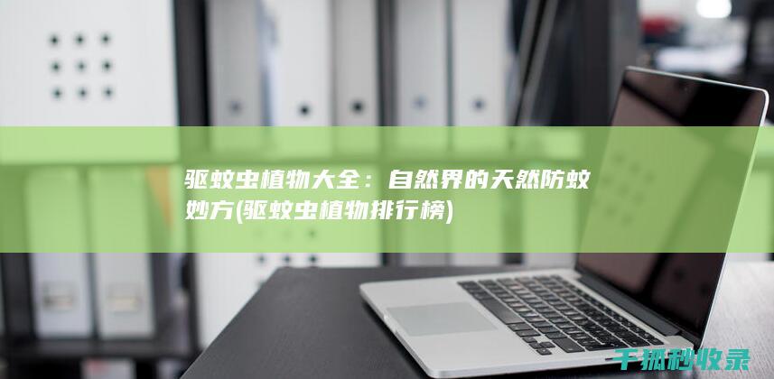 驱蚊虫植物大全：自然界的天然防蚊妙方 (驱蚊虫植物排行榜)