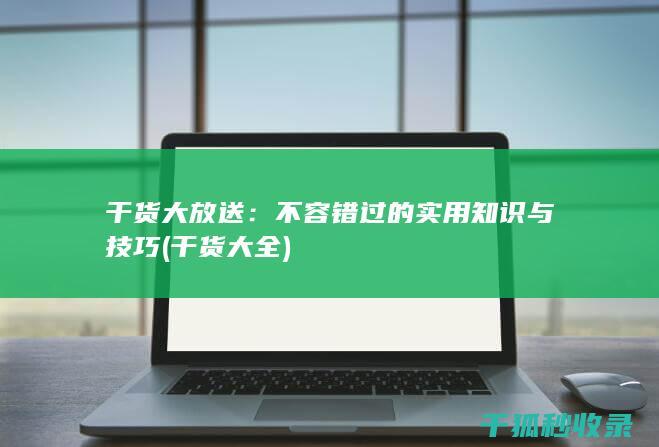 干货大放送：不容错过的实用知识与技巧 (干货大全)