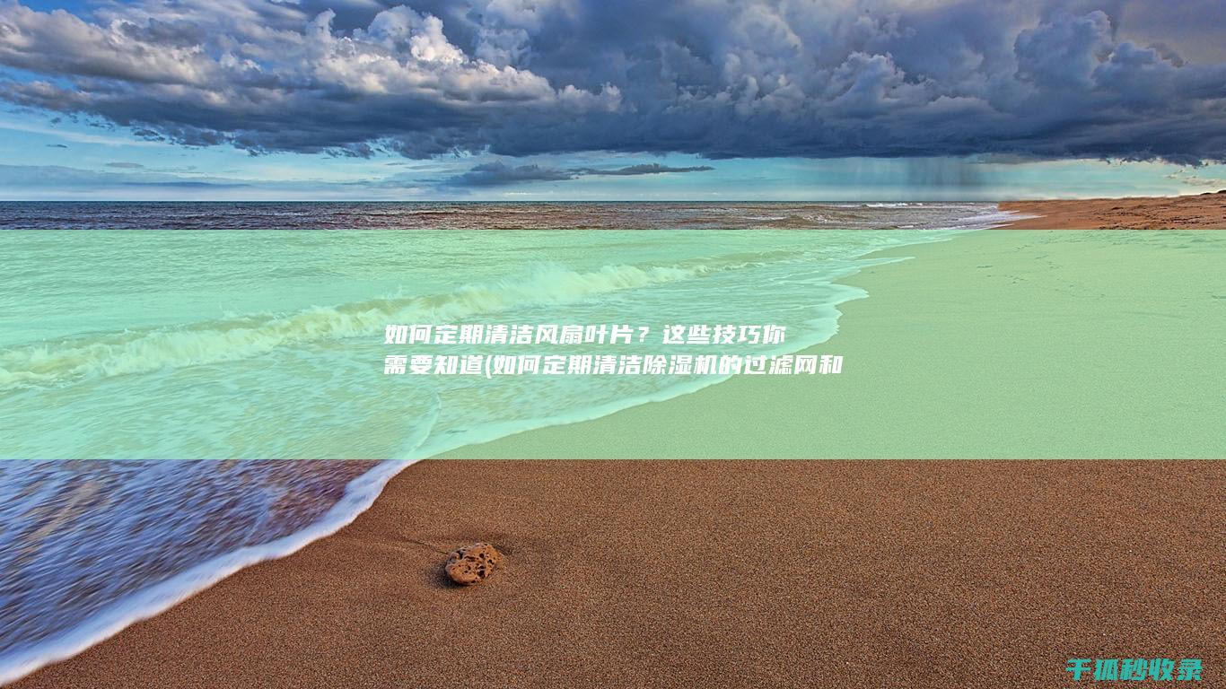 如何定期清洁风扇叶片？这些技巧你需要知道 (如何定期清洁除湿机的过滤网和内部组件?)