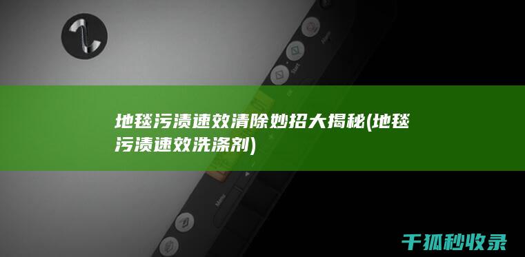 地毯污渍速效清除妙招大揭秘 (地毯污渍速效洗涤剂)