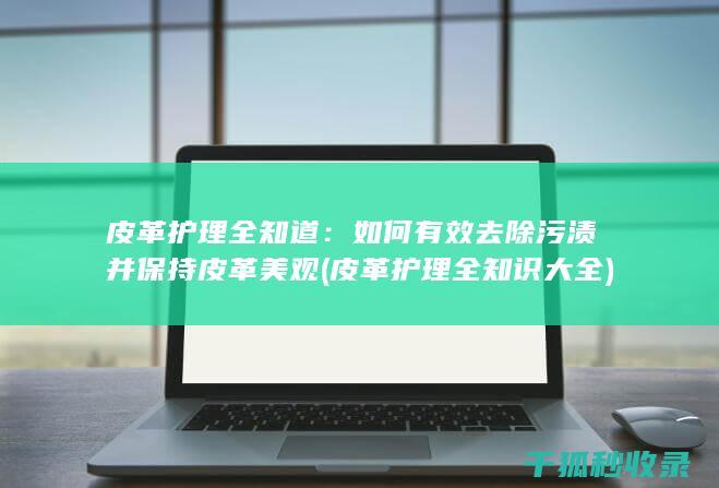 皮革护理全知道：如何有效去除污渍并保持皮革美观 (皮革护理全知识大全)
