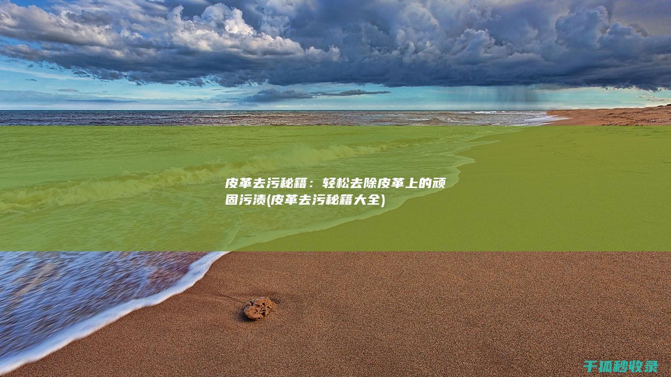 皮革去污秘籍：轻松去除皮革上的顽固污渍 (皮革去污秘籍大全)