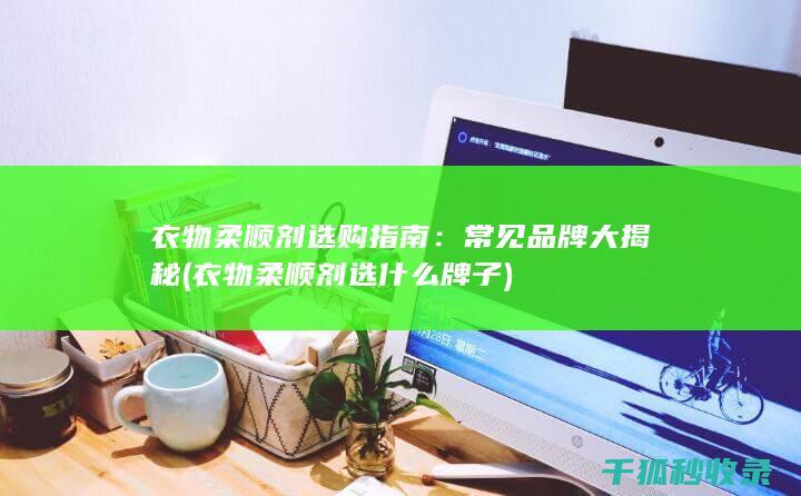 衣物柔顺剂选购指南：常见品牌大揭秘 (衣物柔顺剂选什么牌子)