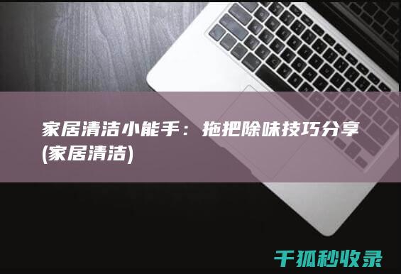 家居清洁小能手：拖把除味技巧分享 (家居 清洁)