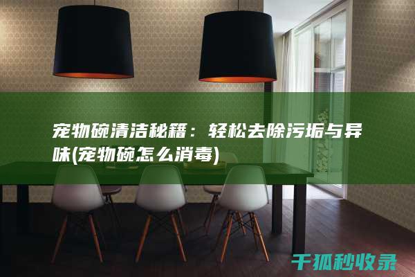 宠物碗清洁秘籍：轻松去除污垢与异味 (宠物碗怎么消毒)