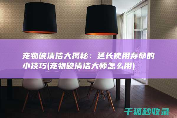 宠物碗清洁大揭秘：延长使用寿命的小技巧 (宠物碗清洁大师怎么用)