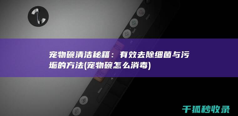 宠物碗清洁秘籍：有效去除细菌与污垢的方法 (宠物碗怎么消毒)