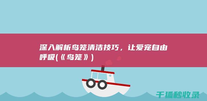 深入解析鸟笼清洁技巧，让爱宠自由呼吸 (《鸟笼》)