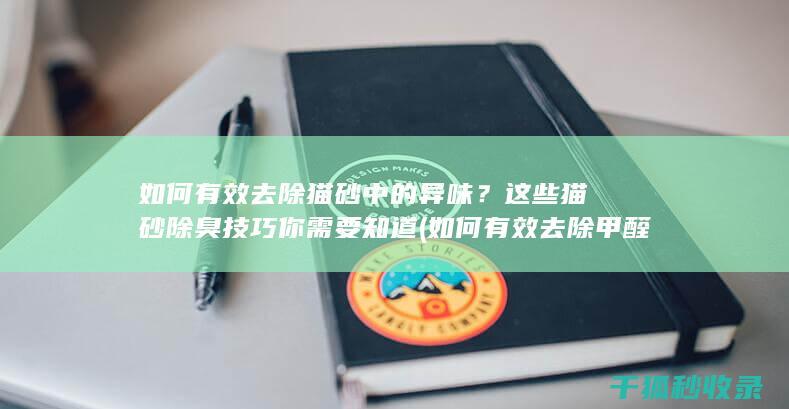 如何有效去除猫砂中的异味？这些猫砂除臭技巧你需要知道 (如何有效去除甲醛)