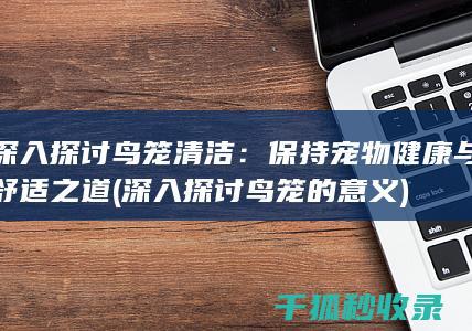 深入探讨鸟笼清洁：保持宠物健康与舒适之道 (深入探讨鸟笼的意义)