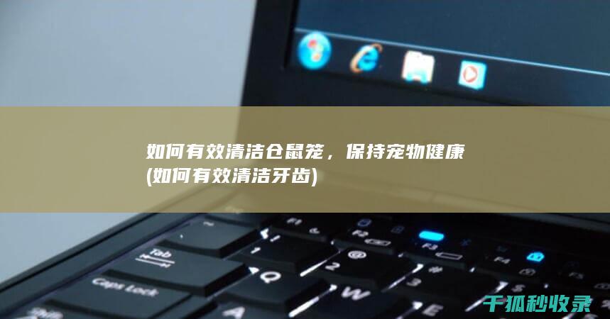 如何有效清洁仓鼠笼，保持宠物健康 (如何有效清洁牙齿)