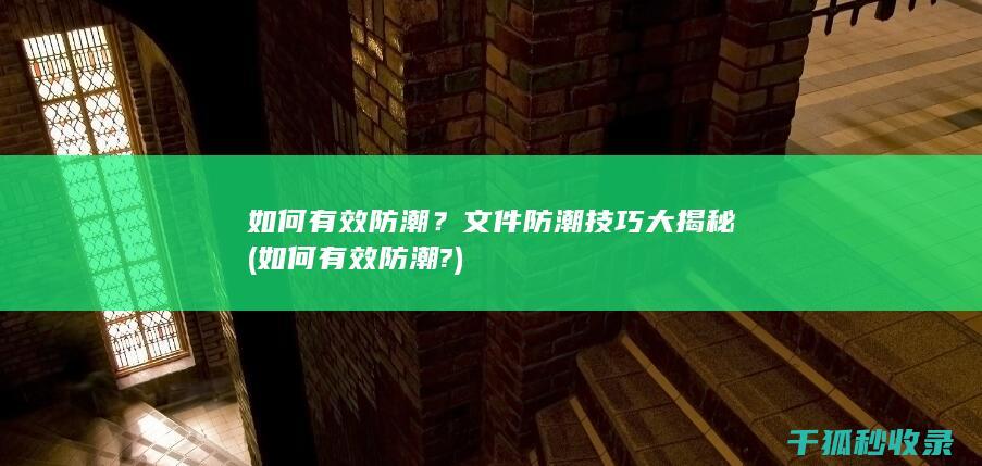 如何有效防潮？文件防潮技巧大揭秘 (如何有效防潮?)