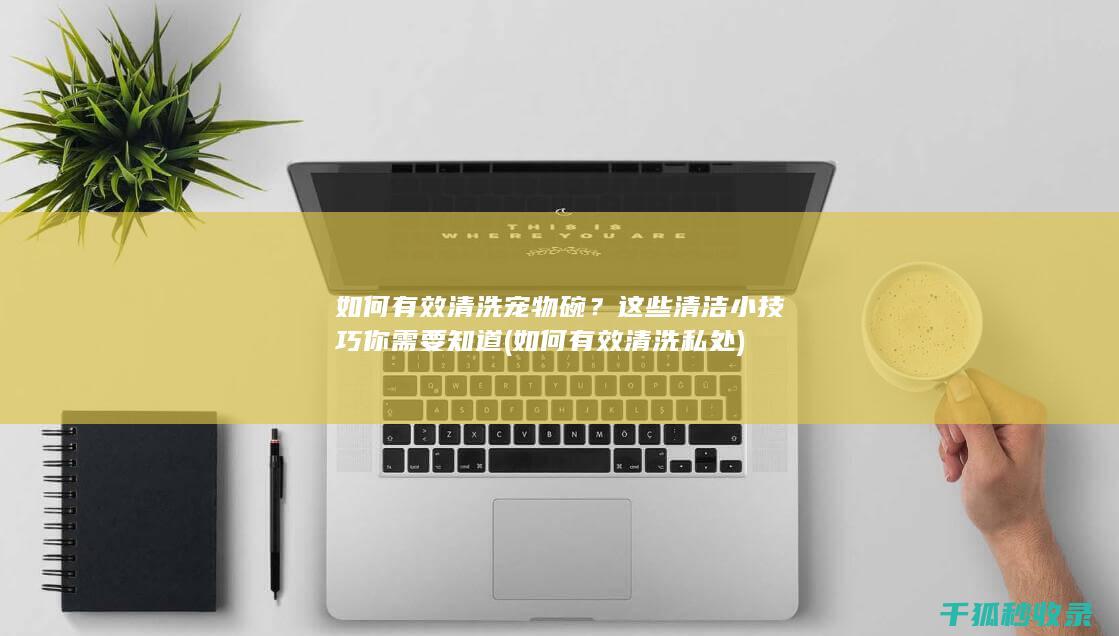 如何有效清洗宠物碗？这些清洁小技巧你需要知道 (如何有效清洗私处)